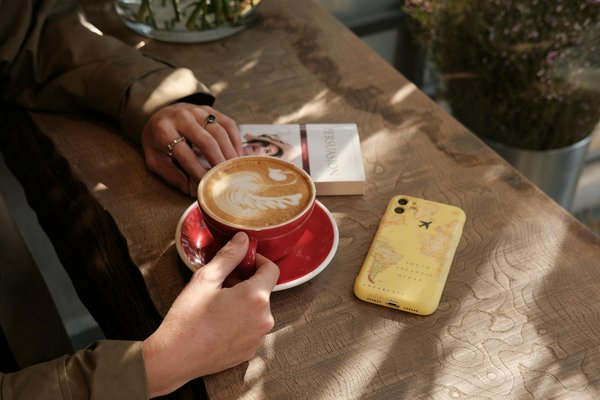 Découvrez les meilleures options d'appartements à pau avec alter immo