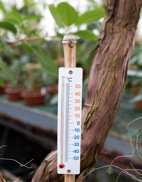 Les contributions de Galilée à la science de la thermométrie et son impact sur les thermomètres modernes.